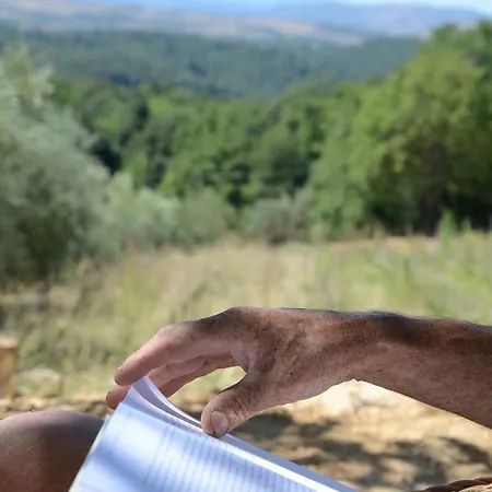 The Lazy Olive Glamping