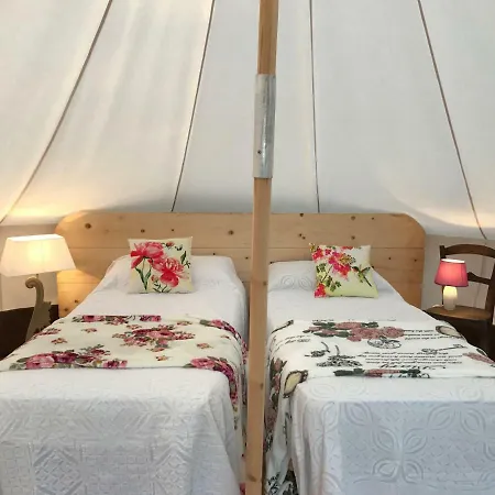 The Lazy Olive Glamping *