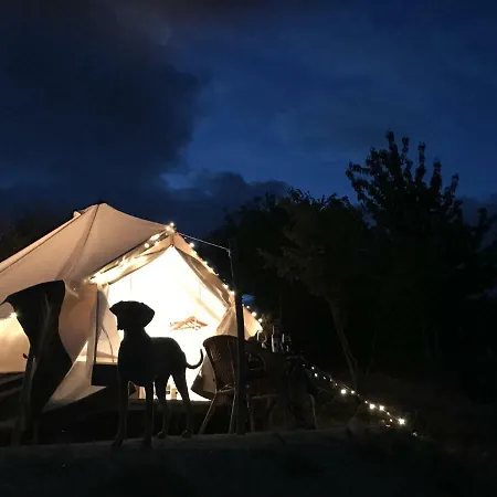 The Lazy Olive Glamping Кемпинг Petroio