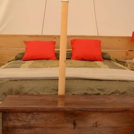 The Lazy Olive Glamping Petroio