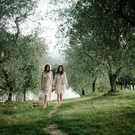 The Lazy Olive Glamping