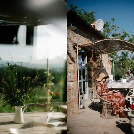 The Lazy Olive Glamping *